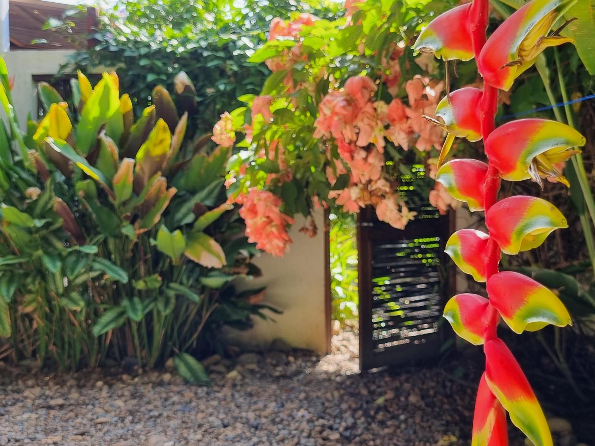 Casas La Floristeria Villa Palomino Exterior photo